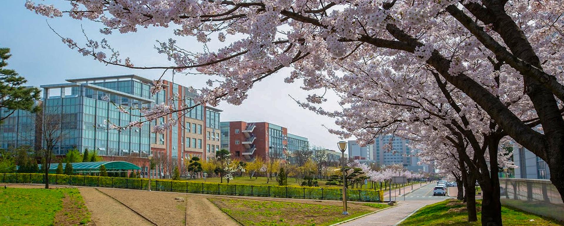 2025년 4월 비주얼영역 이미지 대표이미지